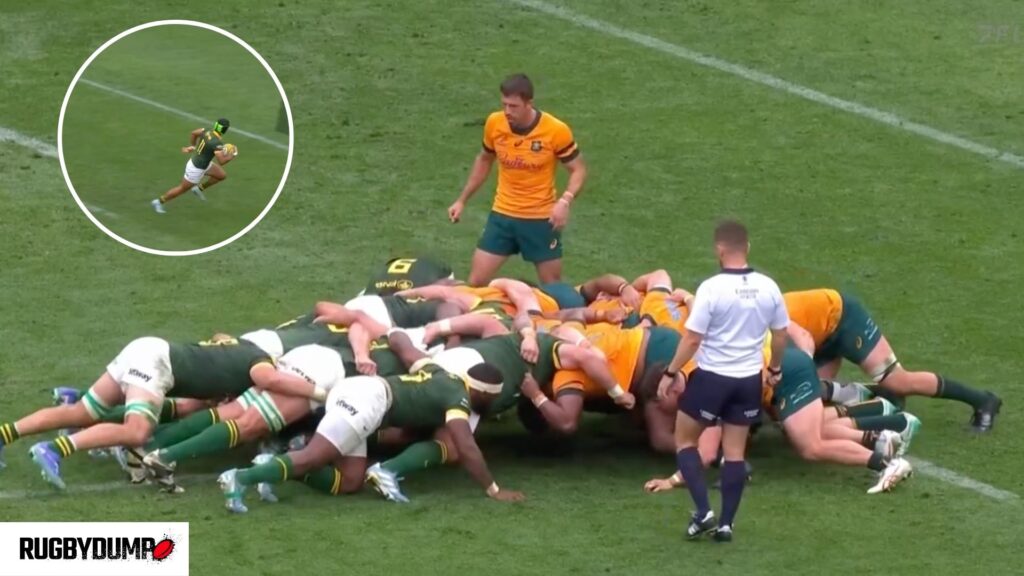 Three key takeaways from the Springboks dominant win vs the Wallabies