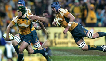 Wallabies rampant against the French in Brisbane